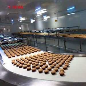 belt conveyor  5-1