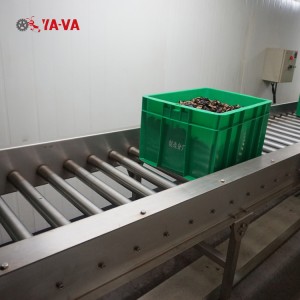 roller conveyor 4